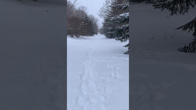 Christmas Eve in Narnia, Ontario #christmas #narnia #ontario смотреть онлайн