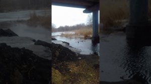 Замор рыбы на реке Усманка.(река.Усмань)г.Усмань.2 марта 2021.
