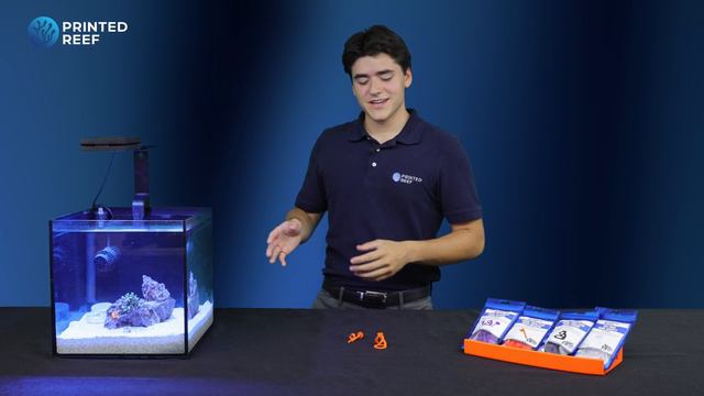 3 Easy Ways to Place Coral Frags in Your Saltwater Aquarium | Printed Reef смотреть онлайн