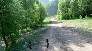 Мотопутешествие на Чарыш или Другой Алтай. . Часть 1