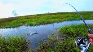 БЕШЕННАЯ ЩУКА В РУЧЬЕ! Ловля щуки на спиннинг Май 2023