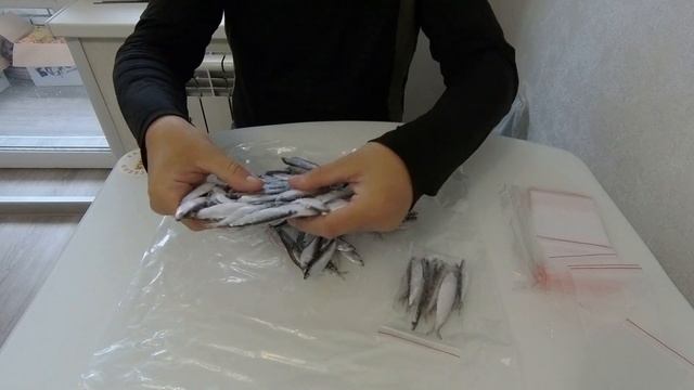 ТЮЛЬКА - НАСАДКА НА СУДАКА, БЕРША | КАК ПРАВИЛЬНО ХРАНИТЬ смотреть онлайн