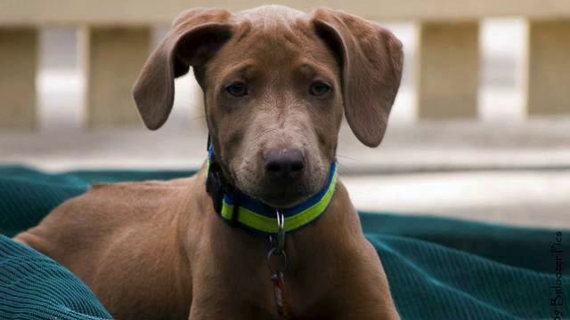 Музыка для тех кому за 30. Новинка просто улет! Голос... смотреть онлайн