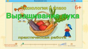 Выращивание лука. Практическая работа. Технология 2 класс.