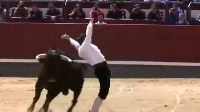 Ярость быка или на волоске от смерти(Rage of the bull or on the verge of death) смотреть онлайн