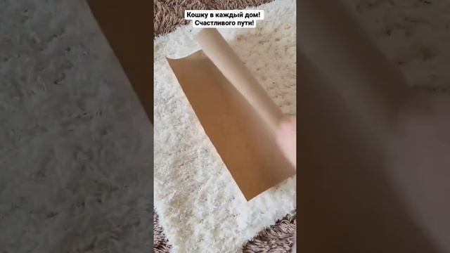 Пакетница-удобный аксессуар для дома, который дарит уют и улыбки #пакетики #дляпакетов #пакетница смотреть онлайн