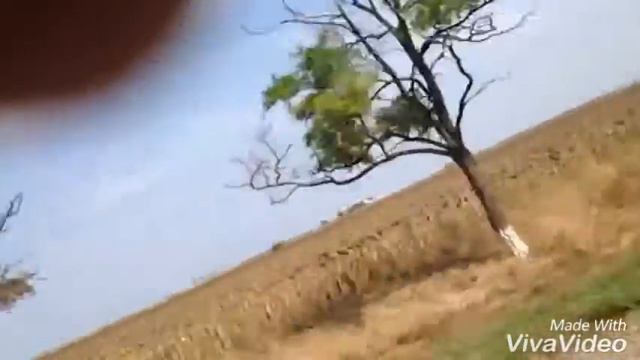 Vlog:Азовское море/ Жанна с нами/ Dasha Joy🙂 смотреть онлайн