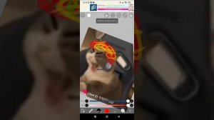 как поставить картинку на другую картинку в ибис паинт