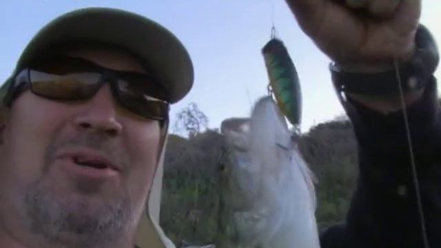 Моя рыбалка. Весенняя рыбалка на Кипре смотреть онлайн