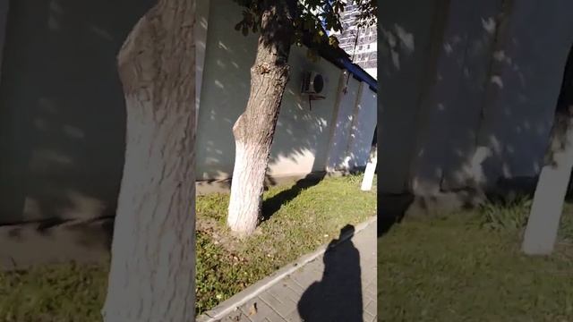 СИЗО № 1. Ростов на Дону.