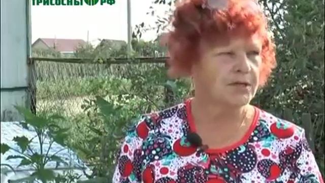 В Новой Майне пенсионерка после очередной проверки счетчиков смотреть онлайн