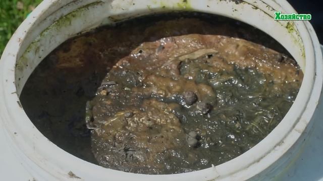 Натуральное удобрение в конце Июня!!! смотреть онлайн