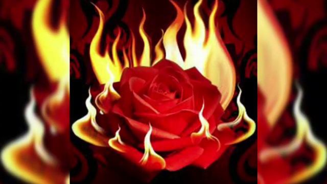 Suratlar Yuraklar Va Gullar