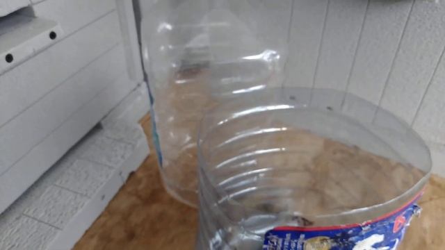 Подкормка пчёл зимой, весной. Как я делаю медовые лепешки! смотреть онлайн