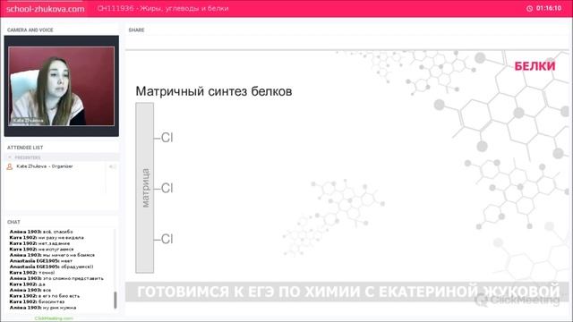 Курсы ЕГЭ 2019 Химия | Жиры, углеводы и белки смотреть онлайн