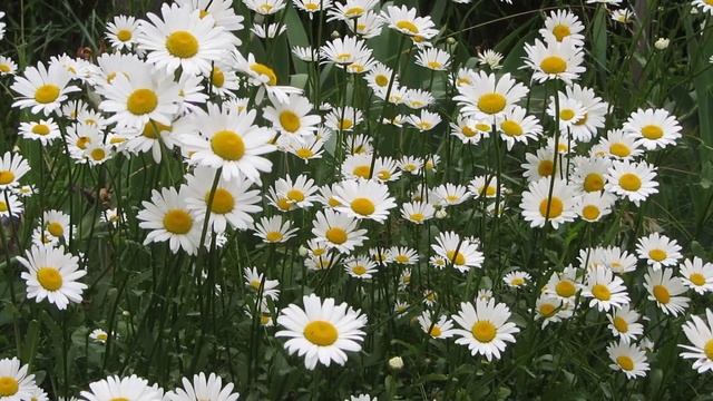 Бывает не поздно, а больше не надо... смотреть онлайн