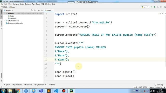 SQLite - 14 - добавляем строки (execute) смотреть онлайн