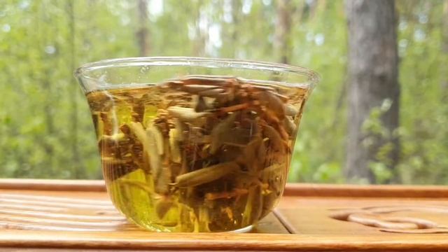 Саган Дайля