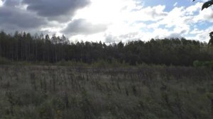 АКА Сигнум и АКА Сорекс - КОПАЕМ ПО ПОЛЯМ / Поиск кладов / Поиск с металлоискателем видео