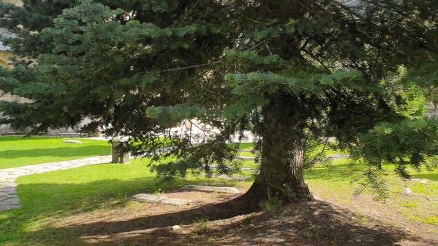 Монастырь Студеница XIIв. "Мать сербских монастырей" смотреть онлайн