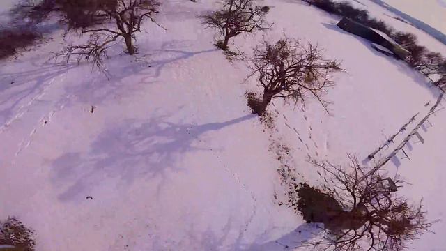White riding смотреть онлайн