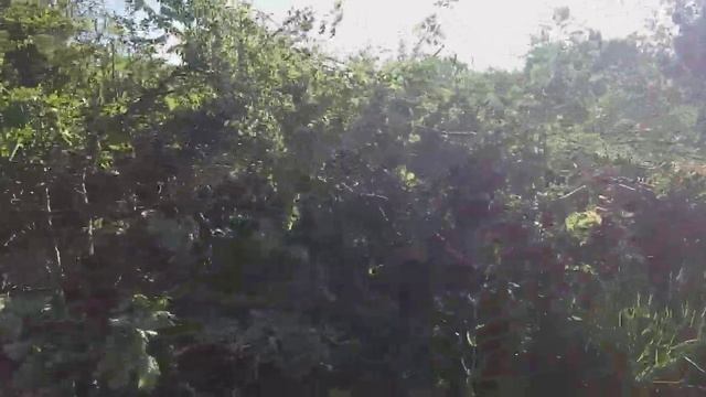 1. Южная дача день2 смотреть онлайн