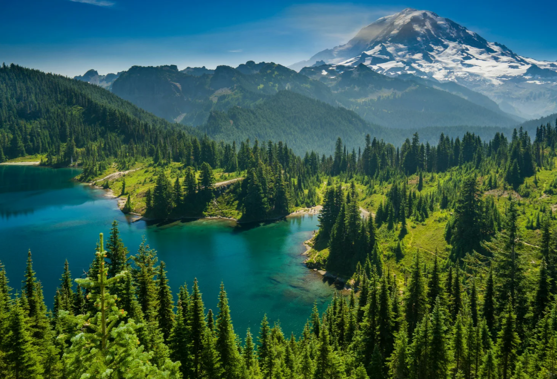 Золото смотреть онлайн