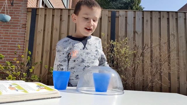 Superleuke proefjes met Chris - deel 5: hoe werkt een kas? смотреть онлайн