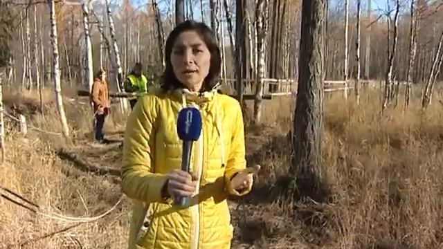 Окружной турнир по спортивному туризму: смотреть онлайн