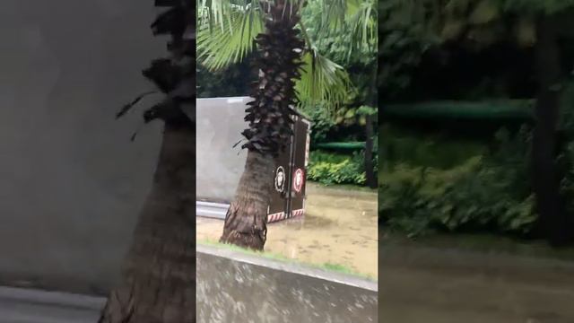 Потоп Адлер 23.07.2022. #сочи #потоп #адлер смотреть онлайн