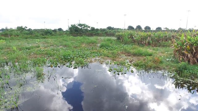 Peaceful Waters Sanctuary