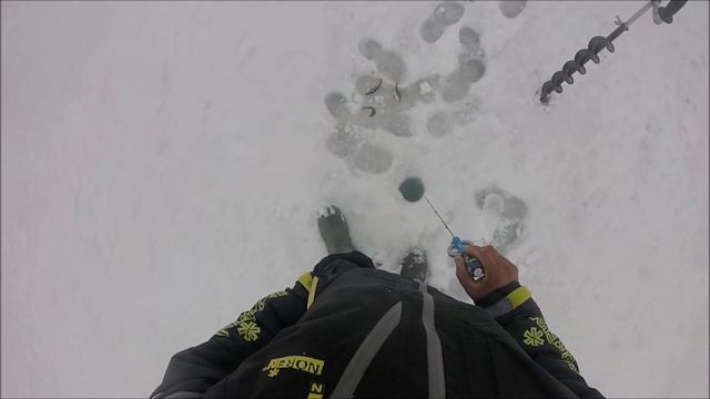зимняя блесна Матырское вдх 30 01 2016 смотреть онлайн