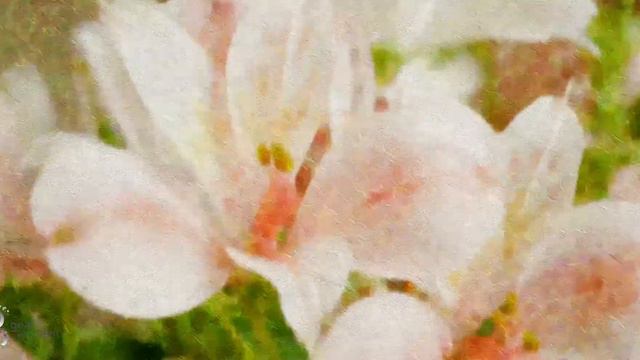 Living Paintings | Animated Impressionist Floral Paintings in the Style of Monet, Degas, and Renoir смотреть онлайн