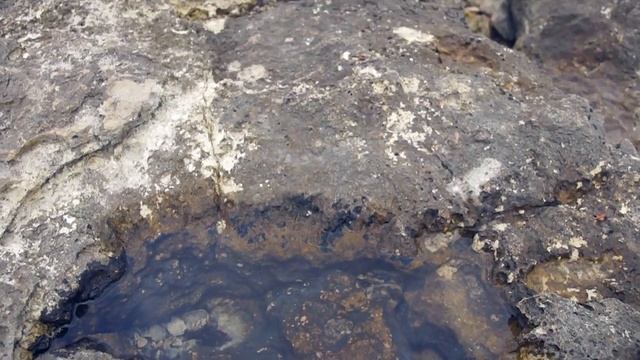 Vlog 7.1.13 Координаты поиска #1 . Таинственные рисунки