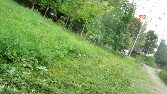 Пенсионеры защищают траву от гастарбайтеров смотреть онлайн