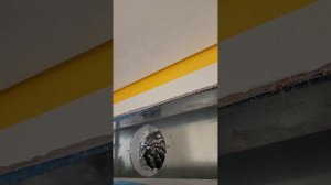 Как быстро оклеить потолок с теневым зазором?!....