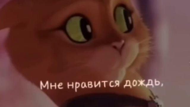 мегуста сту смотреть онлайн