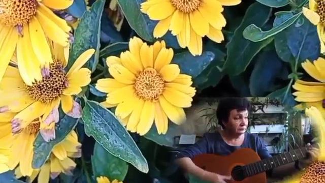 Елена Прошкина Кавер ДЛЯ ДУШИ
