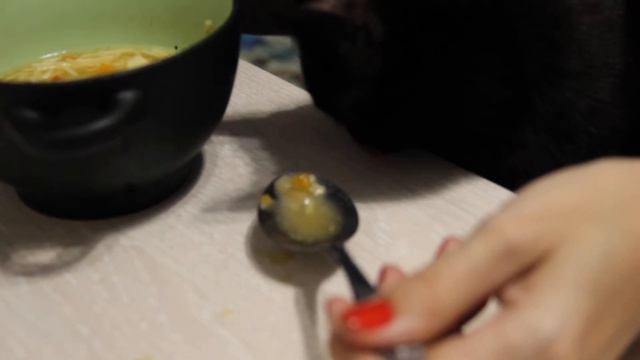Багира ест суп с ложки