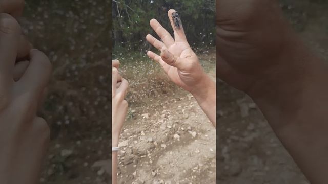 Такого гиганта вы еще не видели! Звук оглушающий. смотреть онлайн