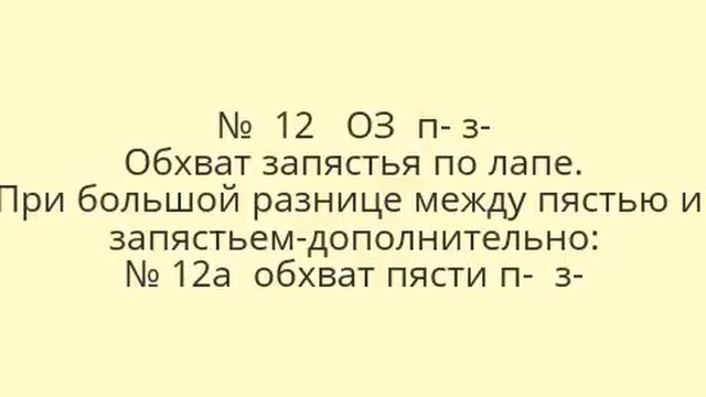 Снимаем мерки с собаки. Пусенкова Ирина.(сокращенная версия) смотреть онлайн