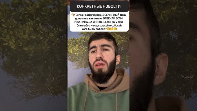 Новость дня #новости #приколы #юмор #праздник #домашниеживотные #дагестан #кавказ #кошка #собака смотреть онлайн
