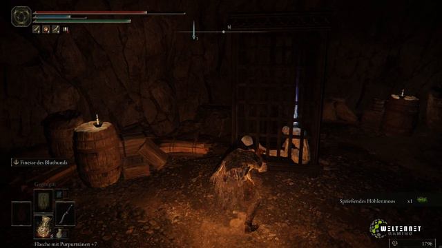 Den GEHEIMEN TURM der Akademie von RAYA LUCARIA in ELDEN RING erreichen! смотреть онлайн