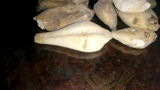 |colchicum Autumnale Benefits