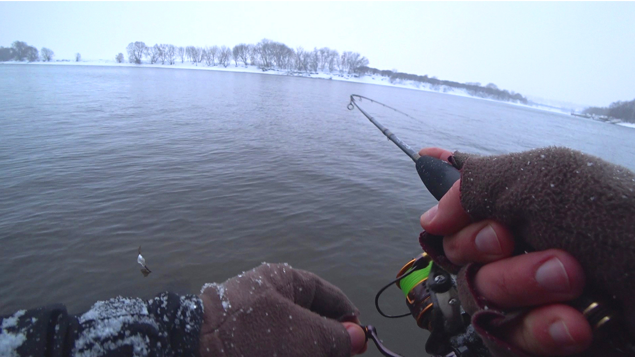 КРУПНЯК ЗАГИБАЕТ В ДУГУ! Подобрал РАБОЧУЮ ПРИМАНКУ! Рыбалка на спиннинг смотреть онлайн