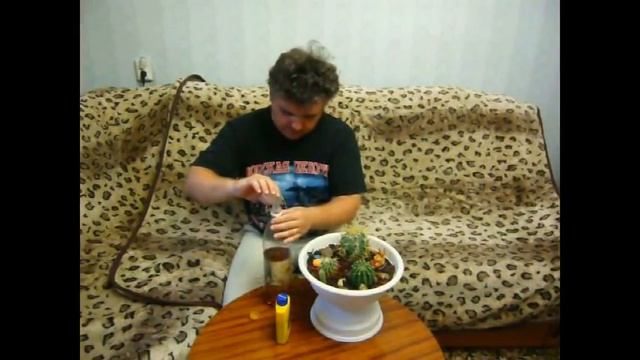 УДОБРЯЮ КАКТУСЫ смотреть онлайн