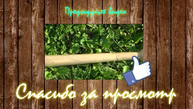 Учусь делать сальто вперёд