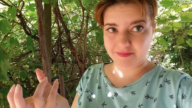 Как быстро засушить растения! смотреть онлайн