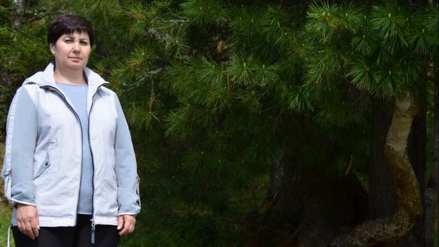 История освоения Горного Алтая смотреть онлайн