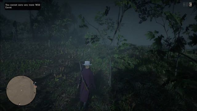 Red Dead 2 Online - MULTIPLE Ginseng Location смотреть онлайн